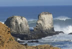 Playa Punta de Lobos O'Higgins Chile